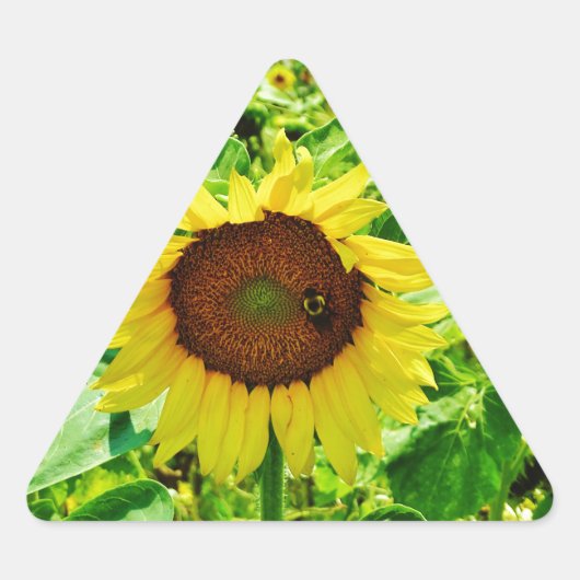 Sticker Triangulaire Abeille sur tournesol jaune (Devant)