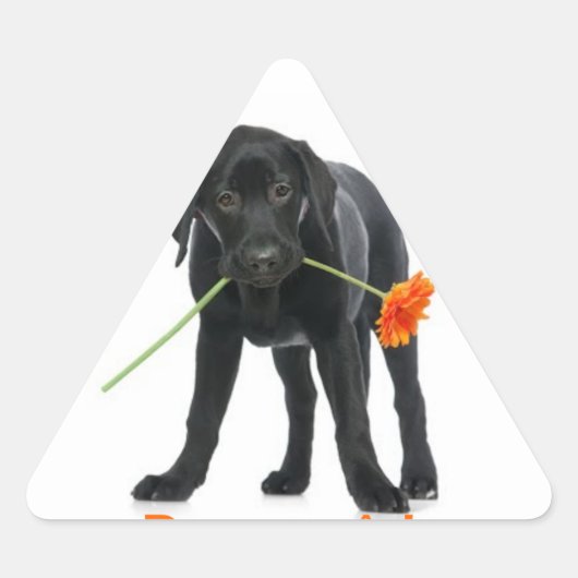 Sticker Triangulaire adhésif chien/fleur (Devant)