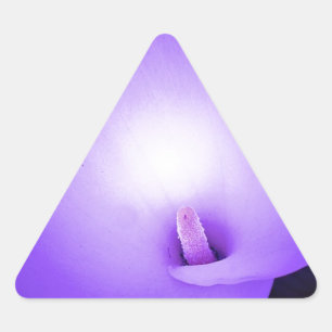 Sticker Triangulaire Amour Lumière, Lilie_