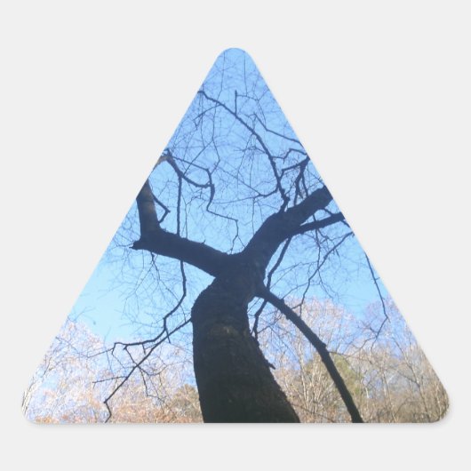 Sticker Triangulaire Arbre éffrayant (Devant)