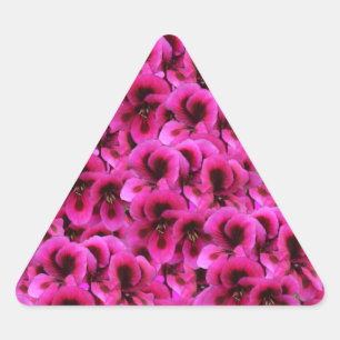 Sticker Triangulaire "Beauté audacieuse : Fleurs de géranium magenta se