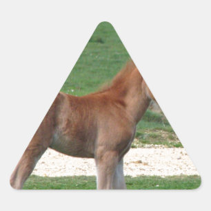 Sticker Triangulaire Bébé mignon Destin Dons Cadeaux Springtime Adorabl