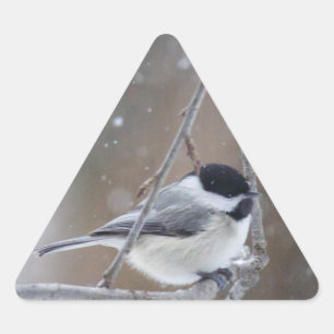 Sticker Triangulaire Bécasseau noir - Songbird