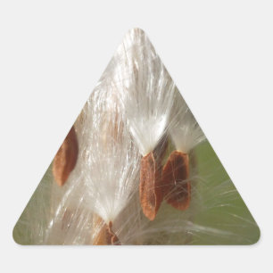 Sticker Triangulaire Belle Magie Milkweed : Une conception de vol Skywa