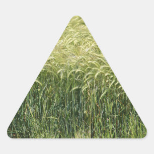 Sticker Triangulaire Blé - Savoureux !