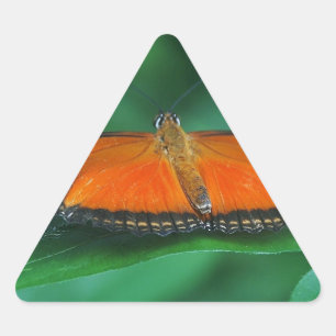 Sticker Triangulaire Bright Orange and Black Butterfly on Leaf