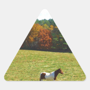 Sticker Triangulaire Brown & cheval blanc, arbres d'automne, ciel bleu