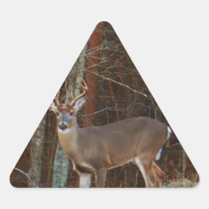 Sticker Triangulaire Camouflage en chêne de cerfs-volants