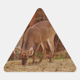 Sticker Triangulaire Camouflage en chêne rouge Stag Buck Deer Nourritur