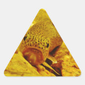 Sticker Triangulaire Canal en flux (Devant)