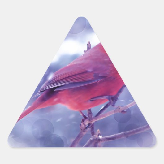Sticker Triangulaire Cardinal rouge au Blizzard (Devant)