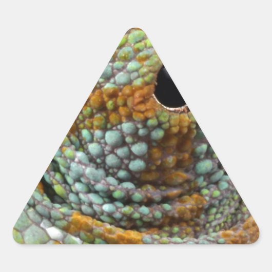 Sticker Triangulaire Chameleon Oeil Mod Élégant Animal (Devant)