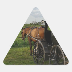 Sticker Triangulaire Cheval Amish et Buggy au coucher du soleil