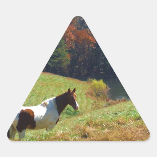 Sticker Triangulaire Cheval blanc et Brown, étang d'automne (Devant)