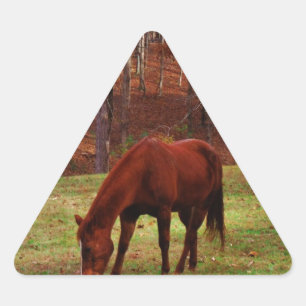 Sticker Triangulaire Cheval Brown avec nez blanc au bord des bois