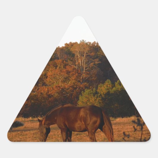 Sticker Triangulaire Cheval Brown rouge, bois d'automne. (Devant)