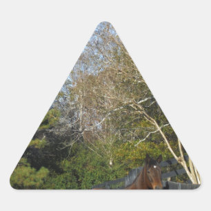 Sticker Triangulaire Cheval brun contre une clôture