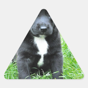 Sticker Triangulaire Chiot totalement adorable