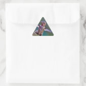 Sticker Triangulaire Colibri (Sac)