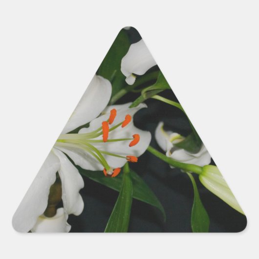Sticker Triangulaire Collection Irlandaise de laiton et de fleurs (Devant)