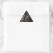 Sticker Triangulaire Cygne noir (Sac)