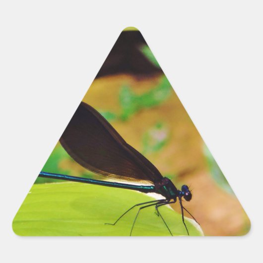Sticker Triangulaire Damselfly et Rose (Devant)