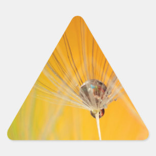 Sticker Triangulaire Dandelion Fleurs Destiny Peace Love Art