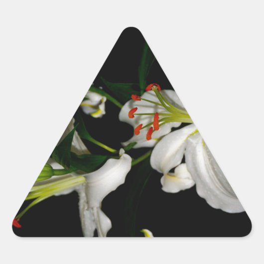Sticker Triangulaire Design irlandais - La collection Flower (Devant)