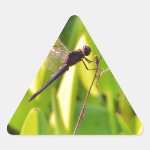 Sticker Triangulaire Dragonfly Blue et noir sur l'herbe.