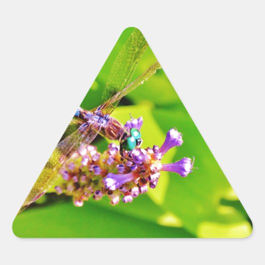 Sticker Triangulaire Dragonfly de couleur arc-en-ciel sur une fleur ros (Devant)