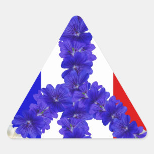 Sticker Triangulaire drapeau français