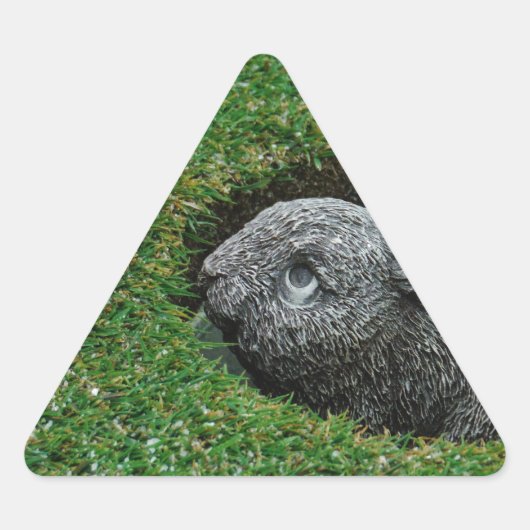 STICKER TRIANGULAIRE DSCF0652.JPG (Devant)