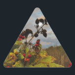 Sticker Triangulaire Elegant Holly Christmas,<br><div class="desc">Elégant Noël Holly,  ciel bleu Photo de Sandy Closs Noël Saint Noël,  baies,  "baies saintes""baies sèches""élégantes fêtes de Noël""fleurs de Noël""fleurs de Noël""fleurs de Noël"bleu vert blanc</div>