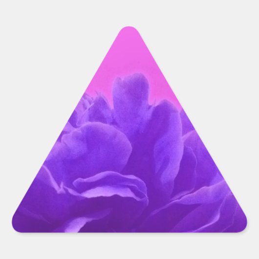 Sticker Triangulaire Elegant Purple Raspberry Floral (Devant)
