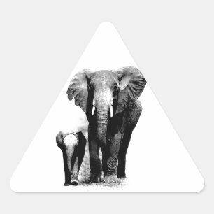Sticker Triangulaire Eléphants