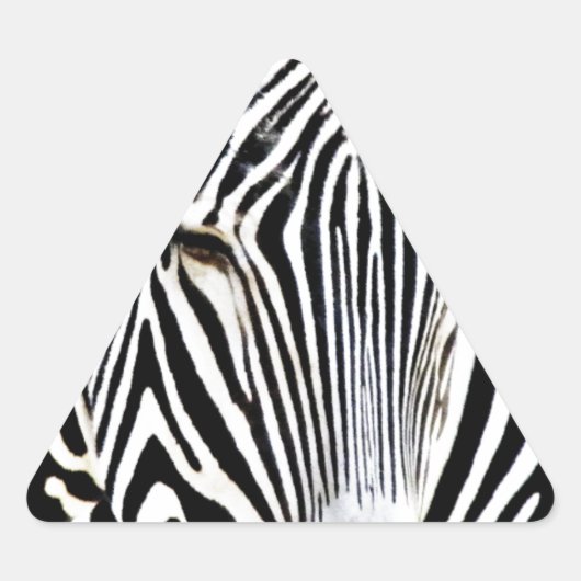 Sticker Triangulaire En attente_ (Devant)