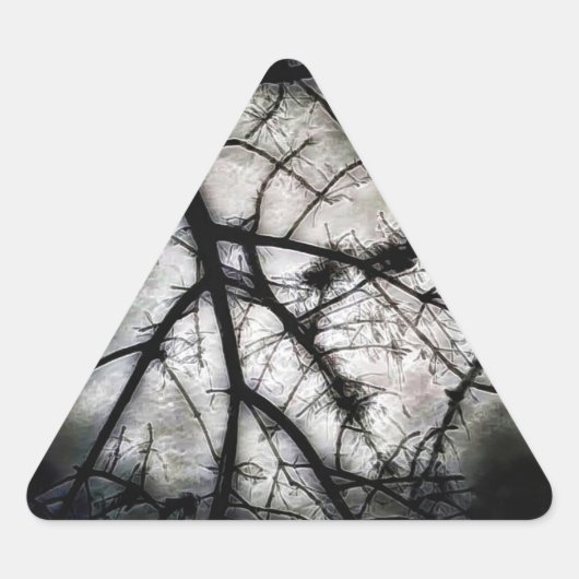 Sticker Triangulaire Fermeture (Devant)