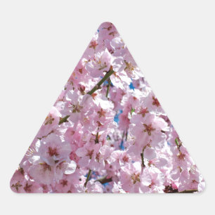 Sticker Triangulaire Fleur japonaise de cerisier