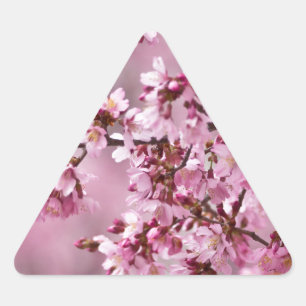 Sticker Triangulaire Fleurs de Cerisier Sakura Pastel Rose Calquees