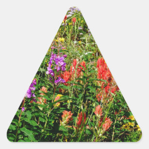 Sticker Triangulaire Fleurs sauvages des Rocheuses