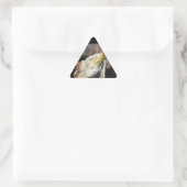 Sticker Triangulaire Fracguane (Sac)