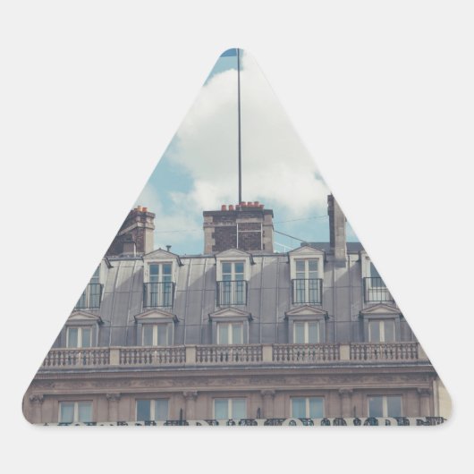 Sticker Triangulaire France (Devant)