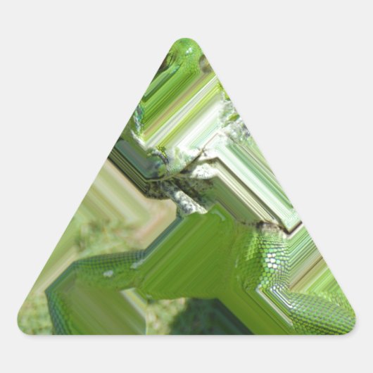 Sticker Triangulaire Iguane vert (Devant)