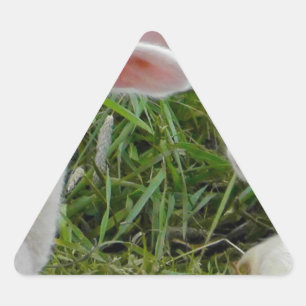 Sticker Triangulaire Jumeau Agneau Bébé Animal Pensée Pour Vous