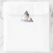 Sticker Triangulaire Kitten endormi (Sac)