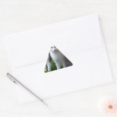 Sticker Triangulaire Les chats jouent (Enveloppe)