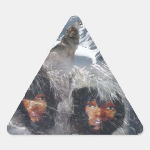 Sticker Triangulaire L'esprit autochtone en Alaska