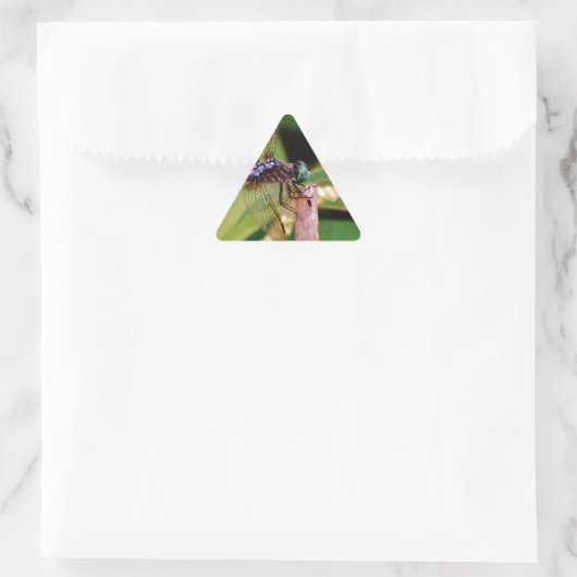 Sticker Triangulaire libellule avec fleurs blanches (Sac)