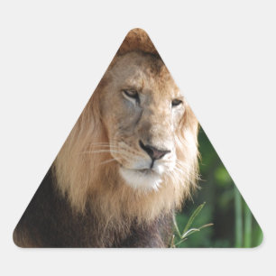 Sticker Triangulaire Lion à ressort