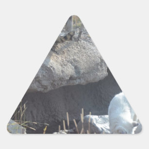 Sticker Triangulaire Loups Forêt Nature Campagne Paix Amour Animal